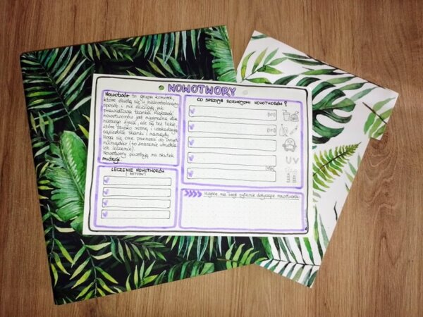 Nowotwory (klasa 7, klasa 8) - szarość