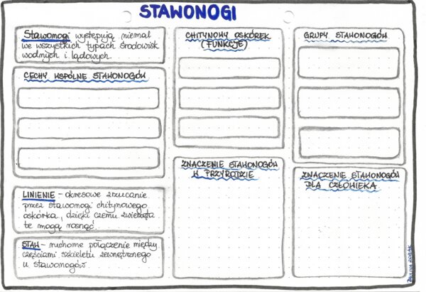 Stawonogi - klasa 6 - kolor