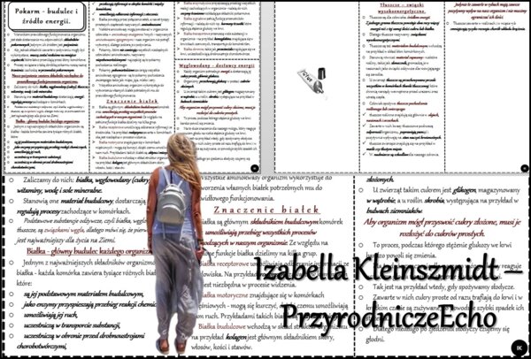 Książeczka/sketchnotka/notatka/wklejka/streszczenie dla ucznia i przypomnienie dla nauczyciela/edukacja domowa/materiał w pigułce. Temat „Pokarm – budulec i źródło energii” w pdf. Biologia 7, dział „Układ pokarmowy”. Nowość 2024/2025.