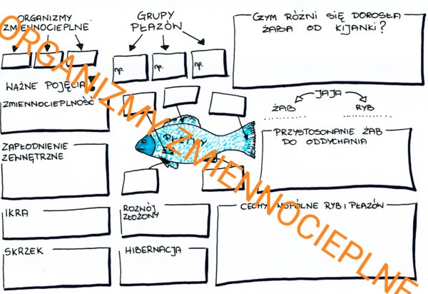 ORGANIZMY ZMIENNOCIEPLNE