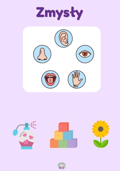 Akademia Pięciu Zmysłów – Wielki Pakiet Edukacyjny (23 strony)