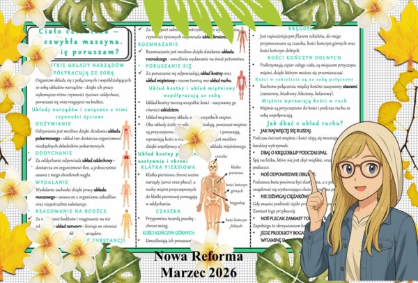 Sketchnotka/notatka - dla ucznia i przypomnienie dla nauczyciela w pdf. Temat "Ciało człowieka  niezwykła maszyna. Jak się poruszam?". Przyroda 4. "Odkrywam przyrodę" zgodna z wydawnictwem Nowa Era. Dział "Jak działa moje ciało?".