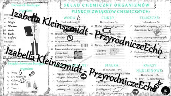Sketchnotka - notatka „SKŁAD CHEMICZNY ORGANIZMÓW” wykonana w power point do edycji. Biologia 5; „Budowa i czynności życiowe organizmów”
