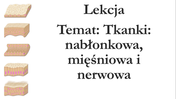 Klasa 6 - Tkanki: nabłonkowa, mięśniowa, nerwowa - prezentacja