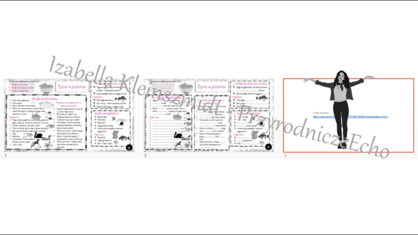 Mini zestaw do tematu „Życie w jeziorze” - sketchnotka + karta pracy + gratisowy link do prezentacji multimedialnej niekomercyjnej wykonanej w genial.ly do indywidualnego pobrania i użycia do celów niekomercyjnych. Przyroda klasa 4, dział VIII „Odkrywamy