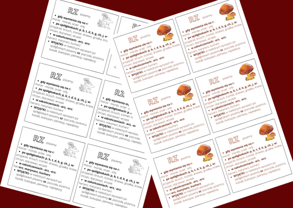 "RZ" - ZASADY ORTOGRAFICZNE - ortografia - WKLEJKA