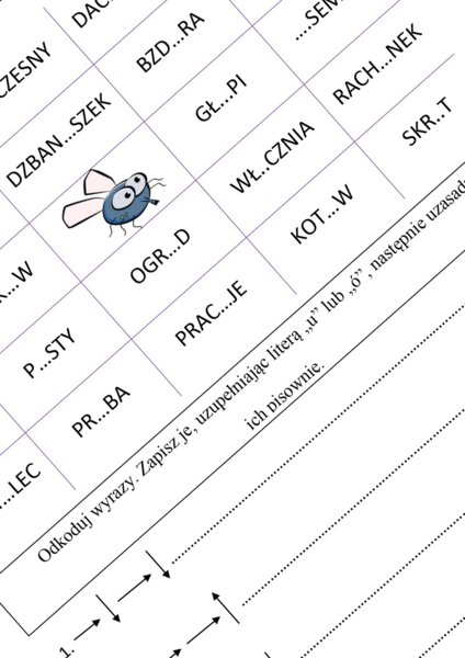 Gra ortograficzna MUCHA z ,,ó" i ,,u"