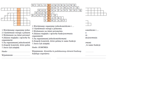 Logogryf dla klasy 4 do tematu "Organizmy mają wspólne cechy"