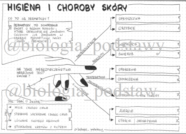 Klasa 7 - Higiena i choroby skóry - sketchnotka