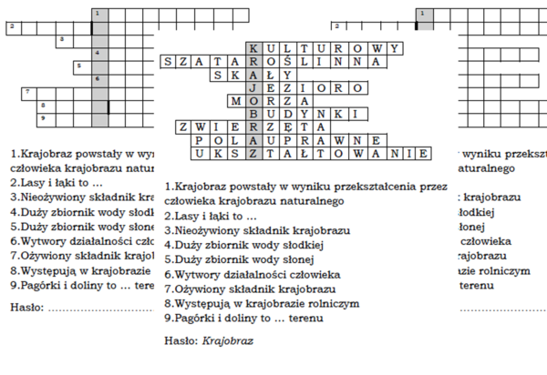 Logogryf na podsumowanie lekcji przyrody o rodzajach krajobrazu