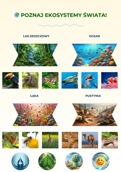Plansze edukacyjne. Ekosystemy. Gatunki zagrożone. Segregacja odpadów. Cykl życia drzew. Owady zapylające.