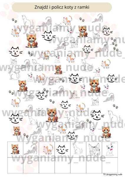 Dzień Kota - kocia wyszukiwanka