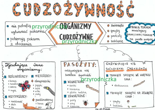 Cudzożywność - 3 karty