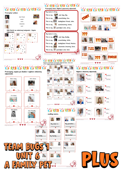 Karty pracy- Team bugs 1 unit 7 A family pet