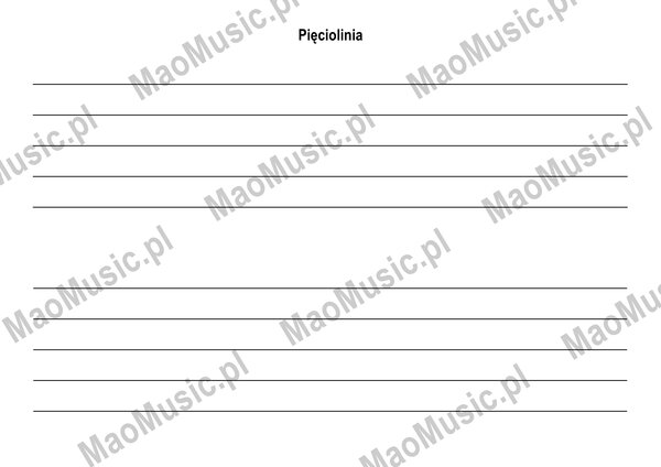 PIĘCIOLINIA szeroka A4