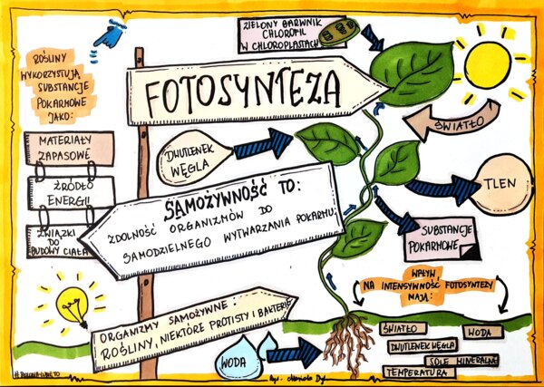 Klasa 5. Biologia. Karta pracy. Fotosynteza (dwie karty pracy)