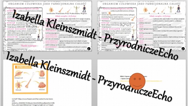 Minizestaw na temat „Organizm człowieka jako funkcjonalna całość” – sketchnotka + karta pracy w power point + gratisowy link do prezentacji multimedialnej niekomercyjnej wykonanej w genial.ly do indywidualnego pobrania i użycia do celów niekomercyjnych. 
