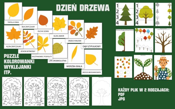 Dzień drzewa - kolorowanki, wyklejanki, rysowanie po śladzie, rodzaje liści itp (jpg i pdf)