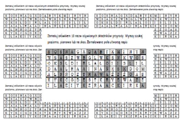 Wykreślanka na podsumowanie lekcji przyrody w klasie 4 "Przyroda i jej składniki"