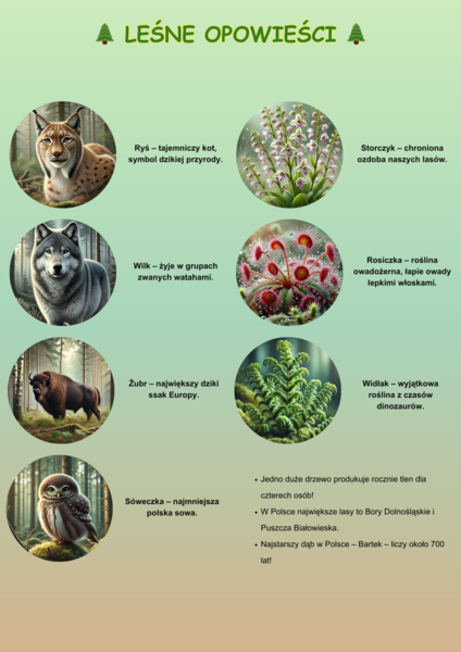 Plakaty ilustrujące różne ekosystemy. Las, morze, łąka. Gatunki chronione.