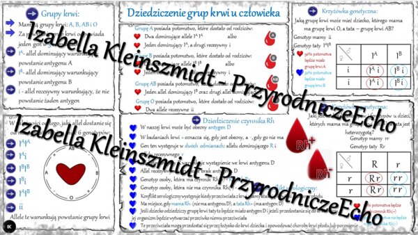 Sketchnotka - notatka „Dziedziczenie grupy krwi” w pdf. Biologia 8; „GENETYKA”