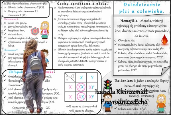 Sketchnotka - notatka „Dziedziczenie płci u człowieka” w pdf. Biologia 8; „GENETYKA”