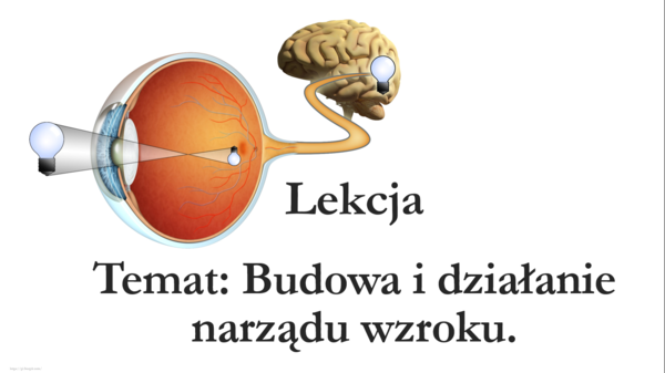 Budowa oka - oko - klasa 7 - prezentacja