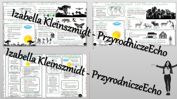 Sketchnotka - notatka „ W wilgotnym lesie równikowym i lesie strefy umiarkowanej” wykonana w power point do edycji. Geografia 5; „Krajobrazy świata”