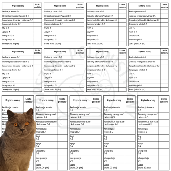Kryteria oceny wypracowania na E8