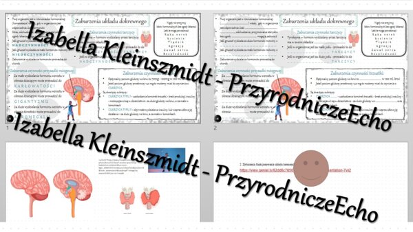 Minizestaw na temat „Zaburzenia funkcjonowania układu hormonalnego” – sketchnotka + karta pracy w power point + gratisowy link do prezentacji multimedialnej niekomercyjnej wykonanej w genial.ly do indywidualnego pobrania i użycia do celów niekomercyjnych