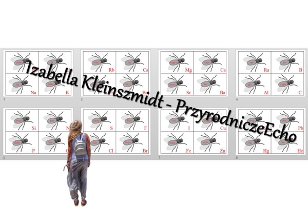 Muchy/protony/elektrony/powłoki elektronowe/elektrony walencyjne. Budowa pierwiastka chemicznego a jego położenie w układzie okresowym pierwiastków. Chemia 7