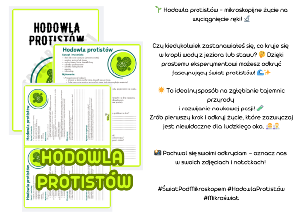 Karta pracy - biologia/zajęcia rozwijające - HODOWLA PROTISTÓ