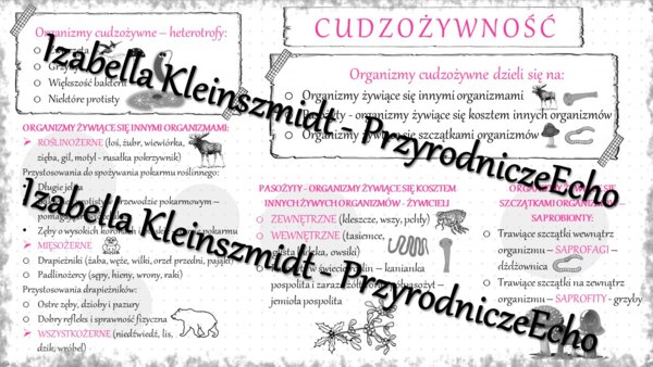 Sketchnotka - notatka „Cudzożywność” wykonana w power point do edycji. Biologia 5; „Budowa i czynności życiowe organizmów”