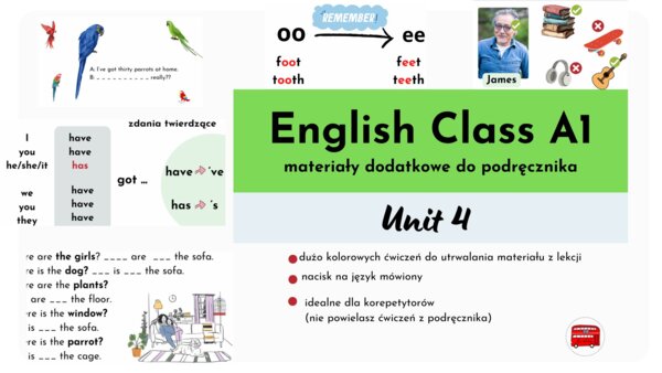English Class A1, unit 4, materiały dodatkowe, have got, appearance