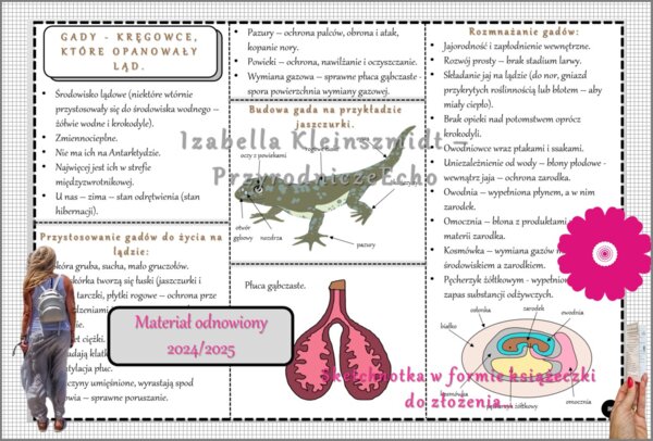 Sketchnotka/książeczka/notatka/wklejka/ściąga dla ucznia i przypomnienie dla nauczyciela/edukacja domowa. Temat „Gady-kręgowce, które opanowały ląd”. Materiał w pdf. Biologia 6, dział „Kręgowce zmiennocieplne”. Nowość 2024/2025.
