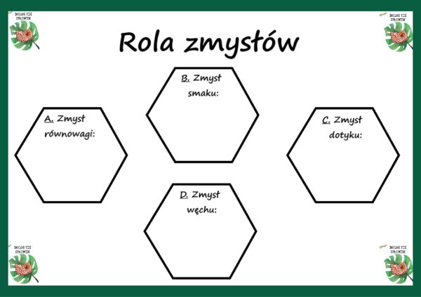 Narządy zmysłów (rola zmysłów) - klasa 7, klasa 4