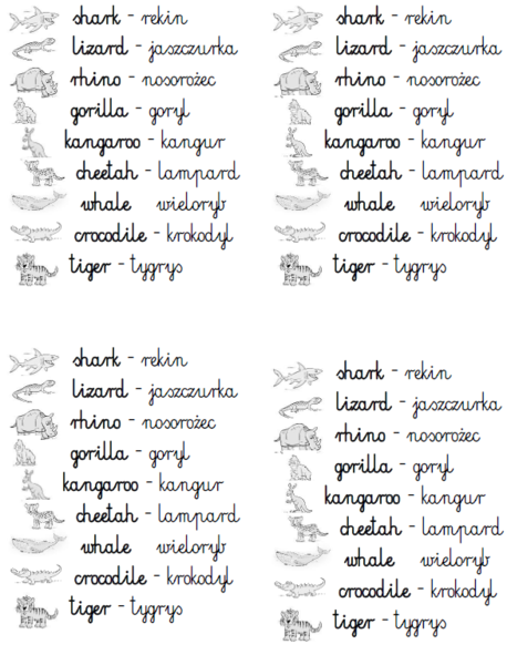 Słowniczek Bugs Team 3