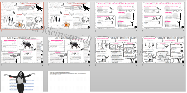 Zestaw sketchnotek i kart pracy + gratisowe linki do prezentacji multimedialnych niekomercyjnych wykonanych w genial.ly do indywidualnego pobrania i użycia do celów niekomercyjnych. Biologia 6, „Kręgowce stałocieplne”