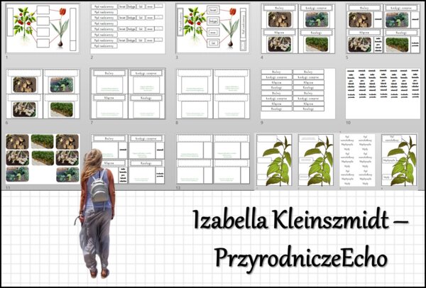 Materiał do zalaminowania/praca w grupach/stacje zadaniowe/układanka/puzzle „Pęd. Budowa i funkcje łodygi” w pdf. Biologia 5, dział „Tkanki i organy roślinne”.