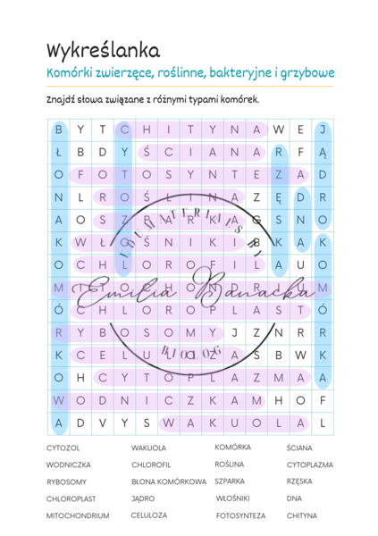 Wykreślanka "Komórki roślinne, zwierzęce, bakteryjne i grzybowe"