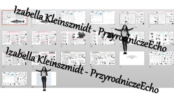 Zestaw sketchnotek i kart pracy + gratisowe linki do prezentacji multimedialnych niekomercyjnych wykonanych w genial.ly do indywidualnego pobrania i użycia do celów niekomercyjnych. Przyroda 4, „Odkrywamy tajemnice życia w wodzie i na lądzie”