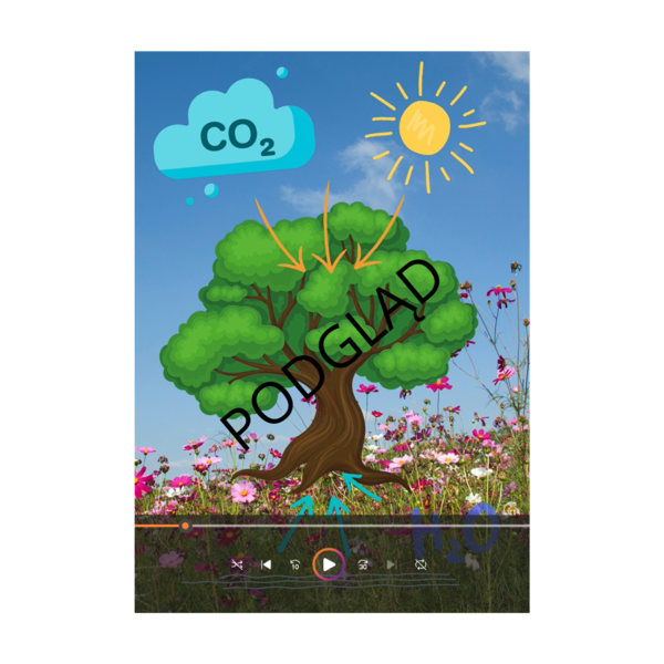 FOTOSYNTEZA - ANIMACJA