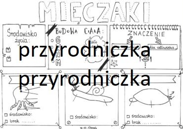 Biologia. Mięczaki - karta pracy