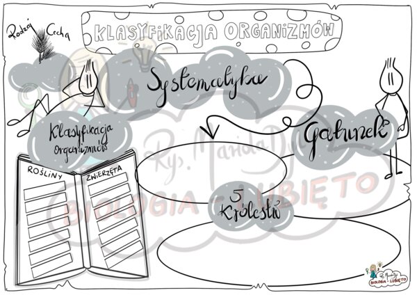 Klasa 5. Klasyfikacja organizmów. Karta pracy
