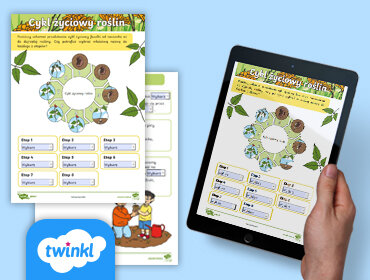 Cykl życiowy roślin - Interaktywna karta pracy