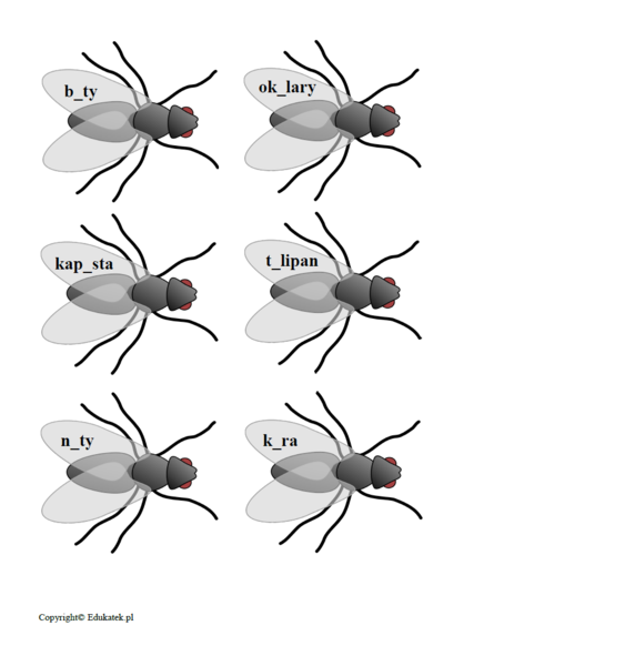 Ortograficzne polowanie na muchy – gra ortograficzna