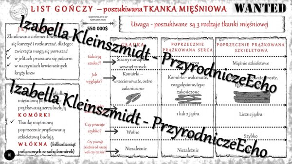 Sketchnotka - notatka „Tkanka mięśniowa” wykonana w power point do edycji. Biologia 6; „Świat zwierząt”