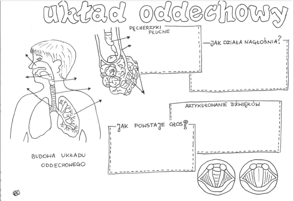 Układ oddechowy - Rysunkowe karty pracy