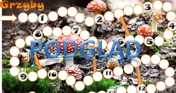 Grzyby- gra planszowa