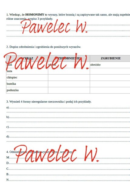 HOMONIM i RZECZOWNIK - karta pracy, sprawdzian (homonimy, zdrobnienia i zgrubienia, nieregularne formy rzeczownika, odmiana przez przypadki)